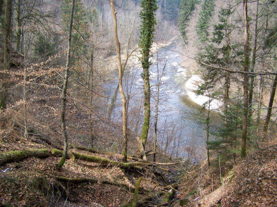 Fluss 2 Hasenweg