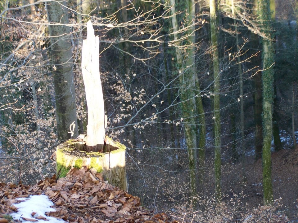 Lichterwanderung 4. Advent